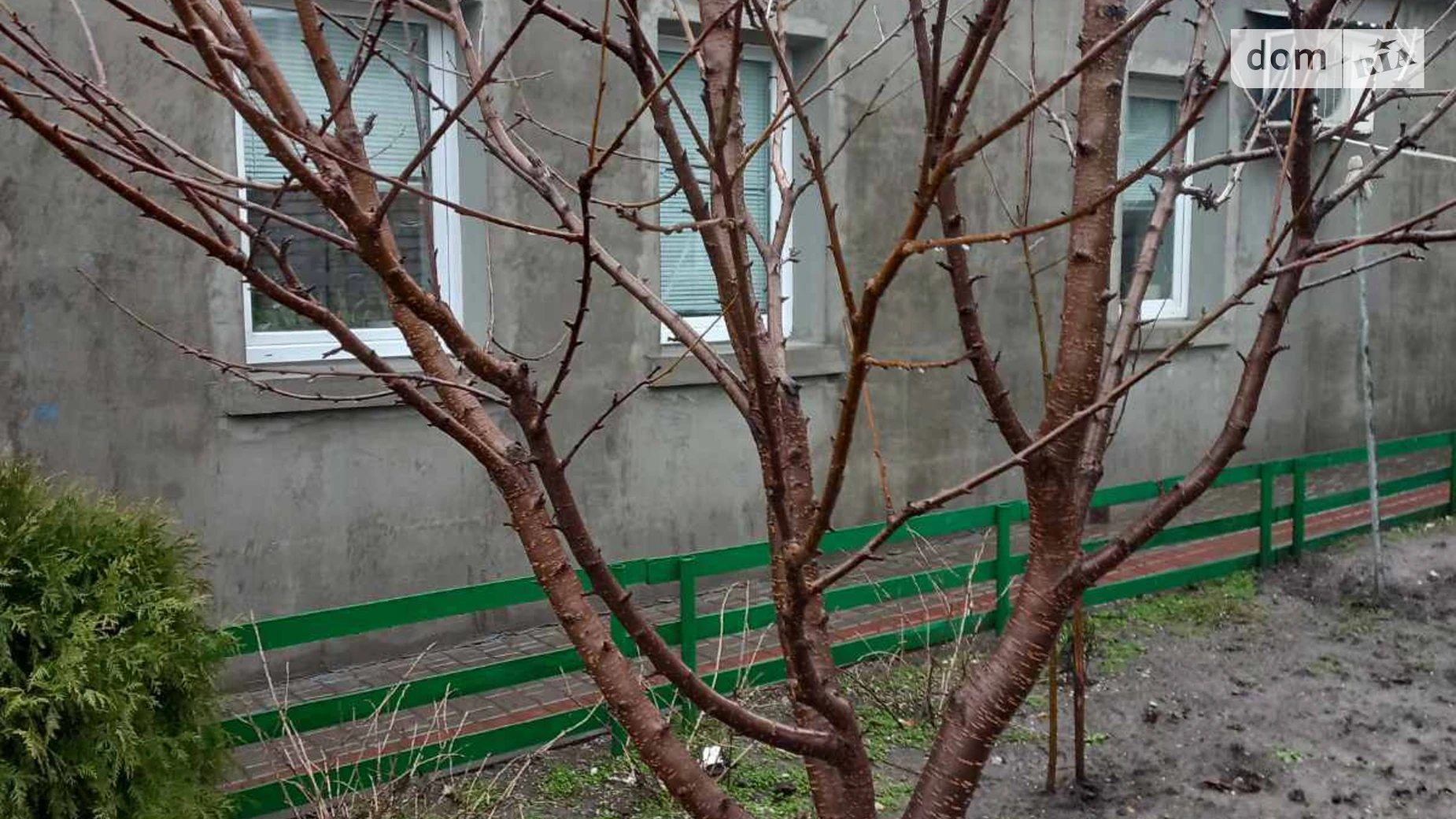 Продается одноэтажный дом 70 кв. м с садом, цена: 42000 $ - фото 5