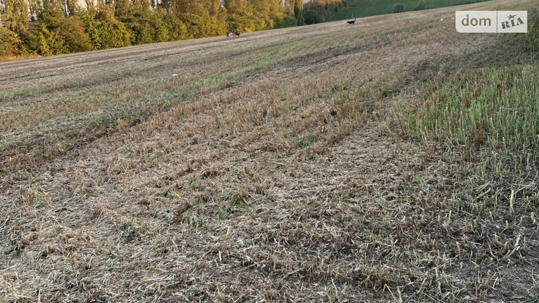 Продается земельный участок 0.93 соток в Черновицкой области, цена: 511500 € - фото 2