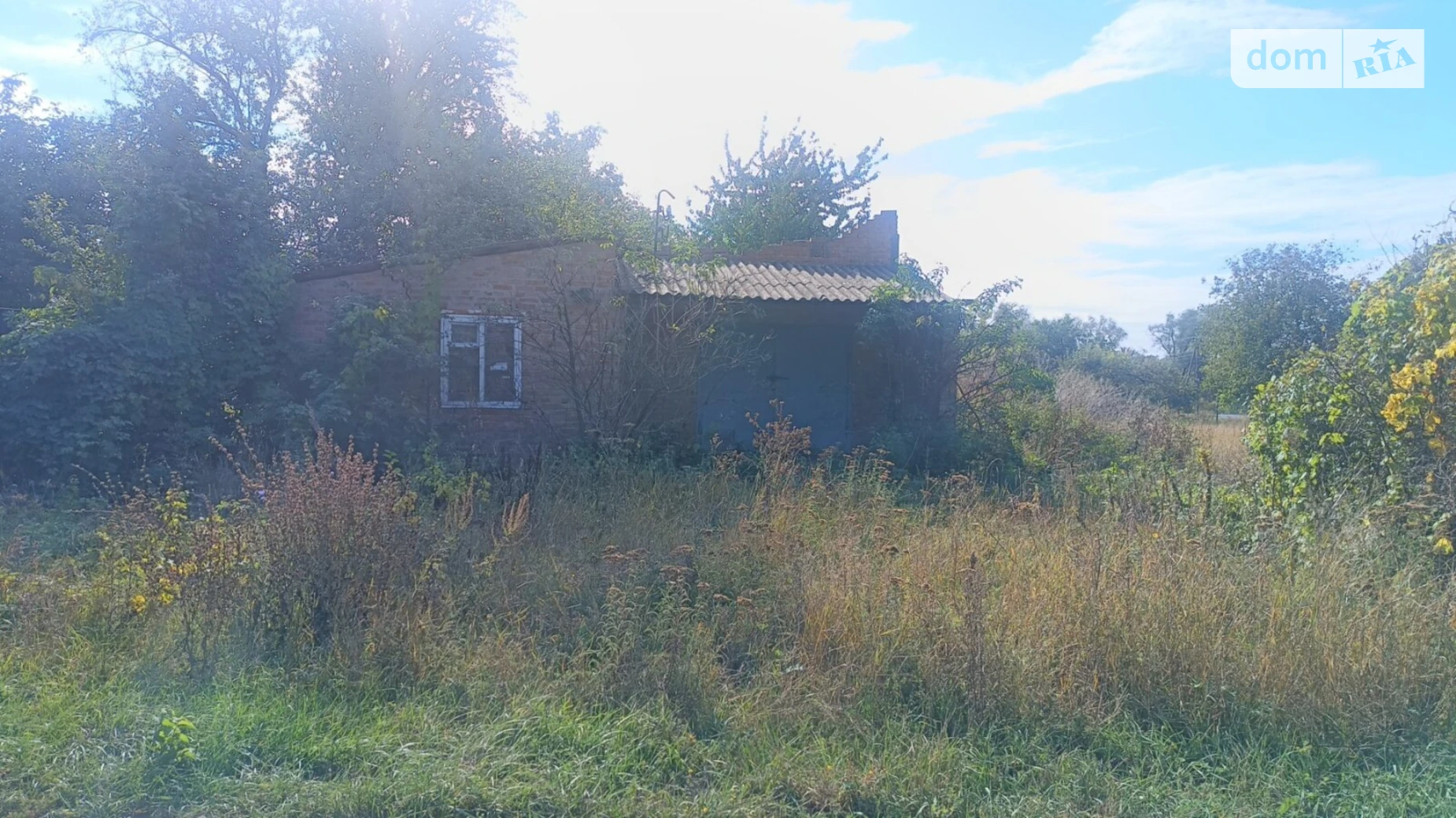 Жуки (Полтава), цена: 6499 $ - фото 2