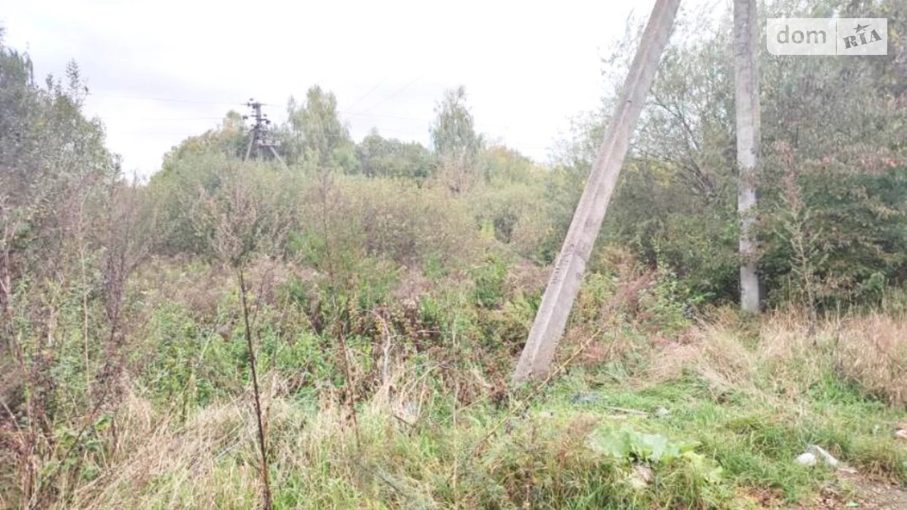 Продается земельный участок 200 соток в Винницкой области, цена: 17000 $ - фото 4