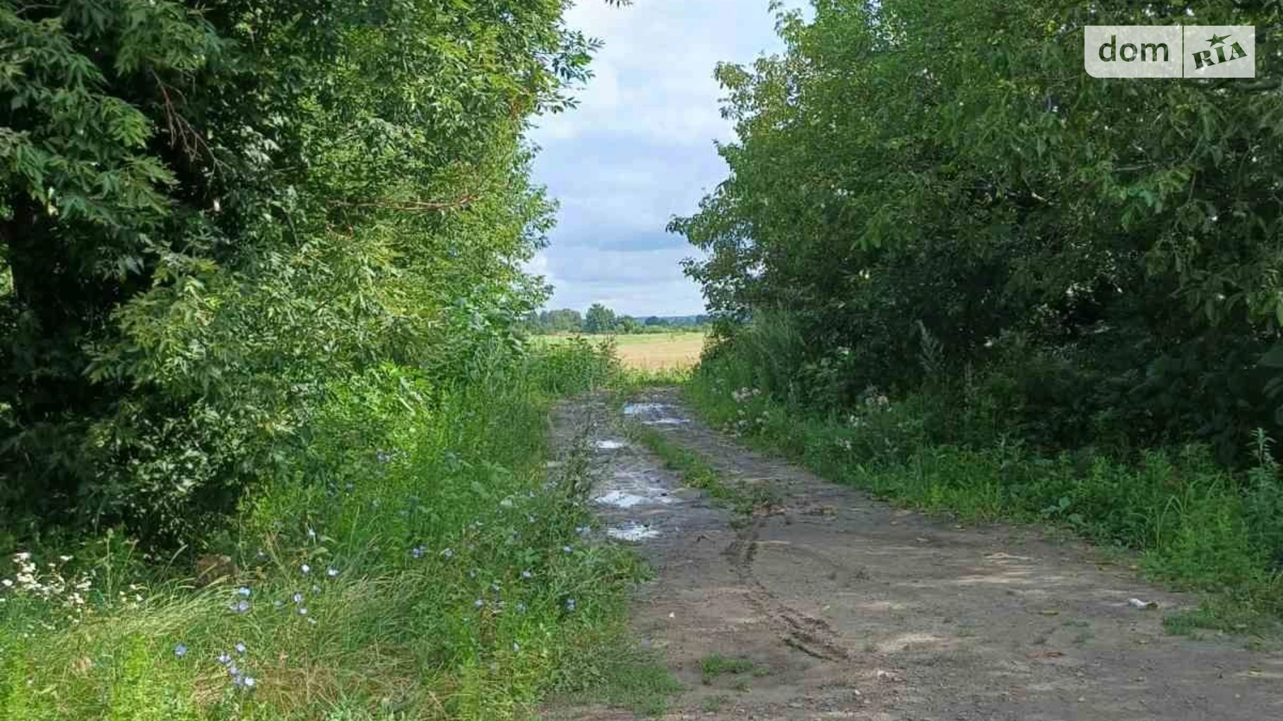 ул. Героев УПА Вышков Луцк, цена: 115000 $ - фото 4