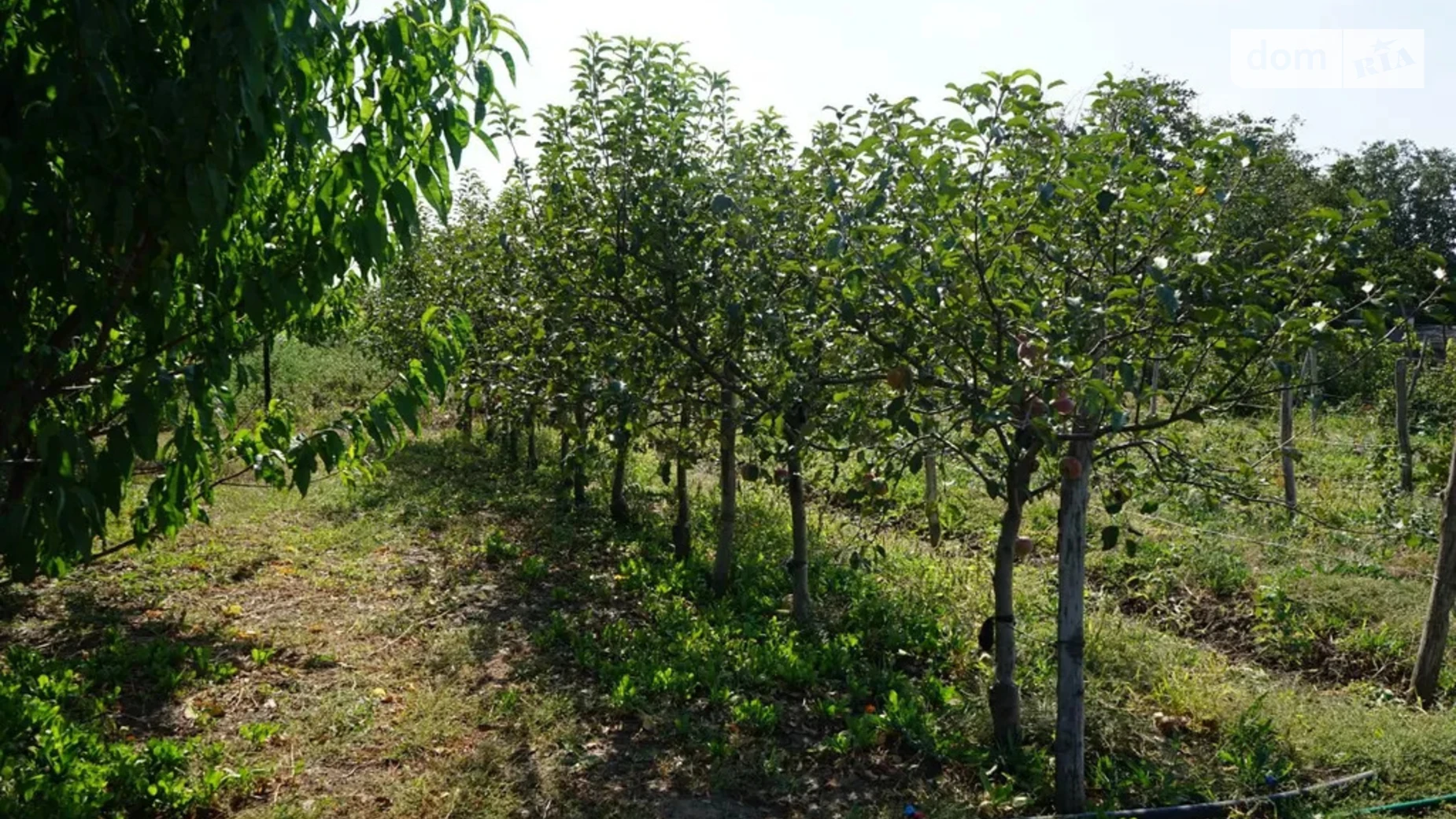Продается одноэтажный дом 64 кв. м с садом, цена: 24000 $ - фото 2