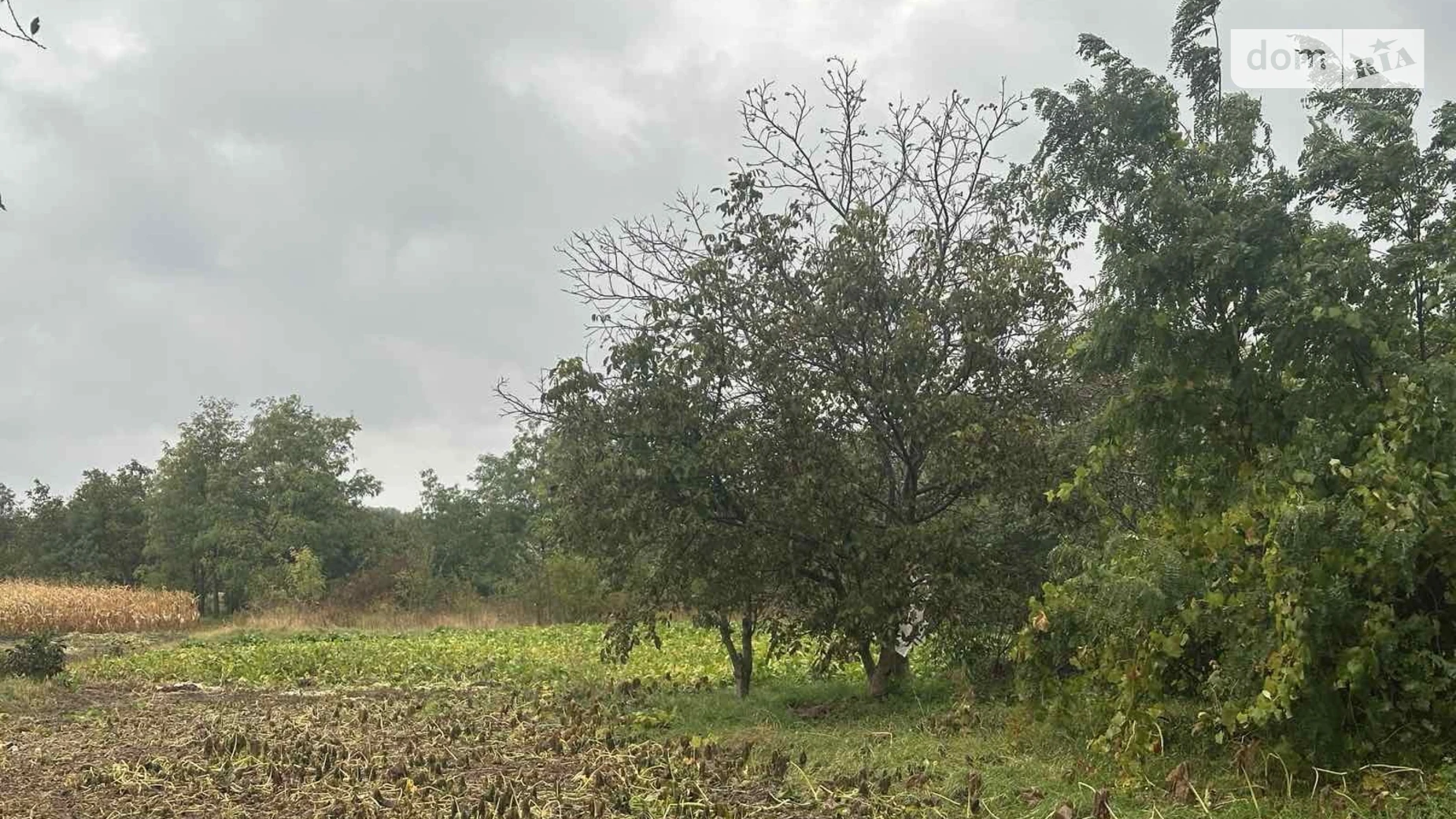 Продается земельный участок 33 соток в Винницкой области, цена: 18000 $ - фото 3