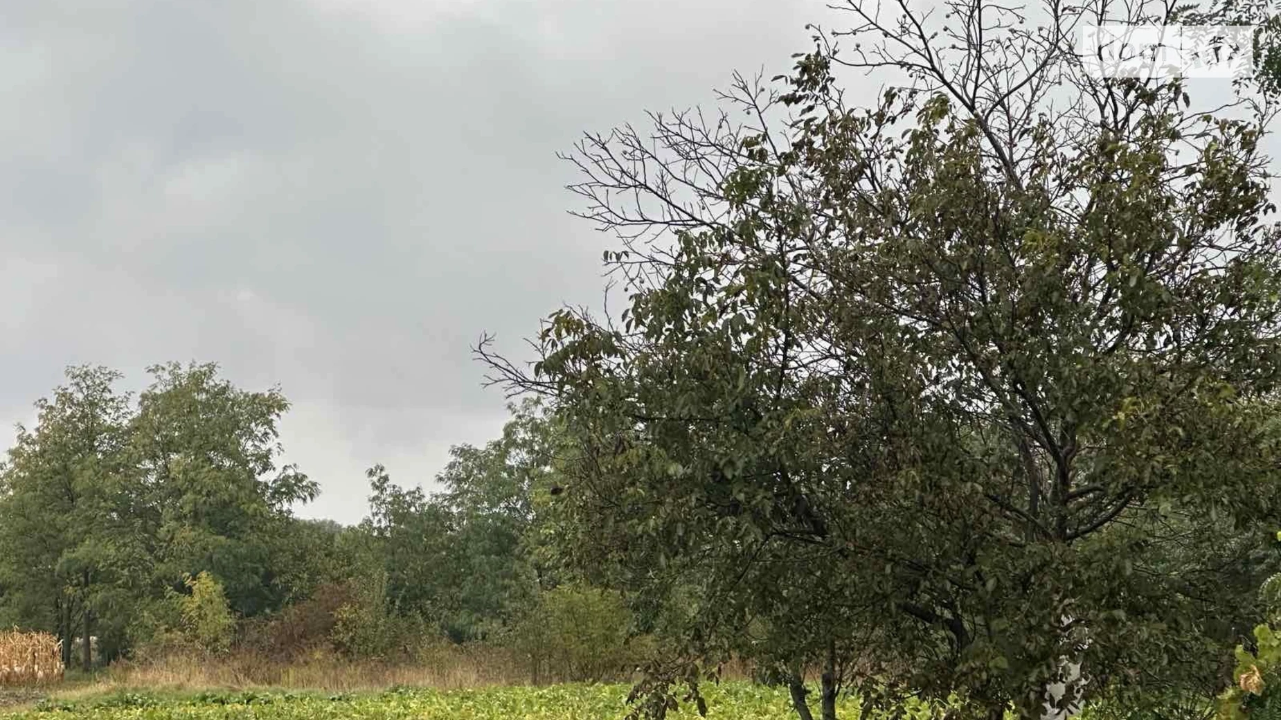 Продается земельный участок 33 соток в Винницкой области, цена: 18000 $ - фото 4