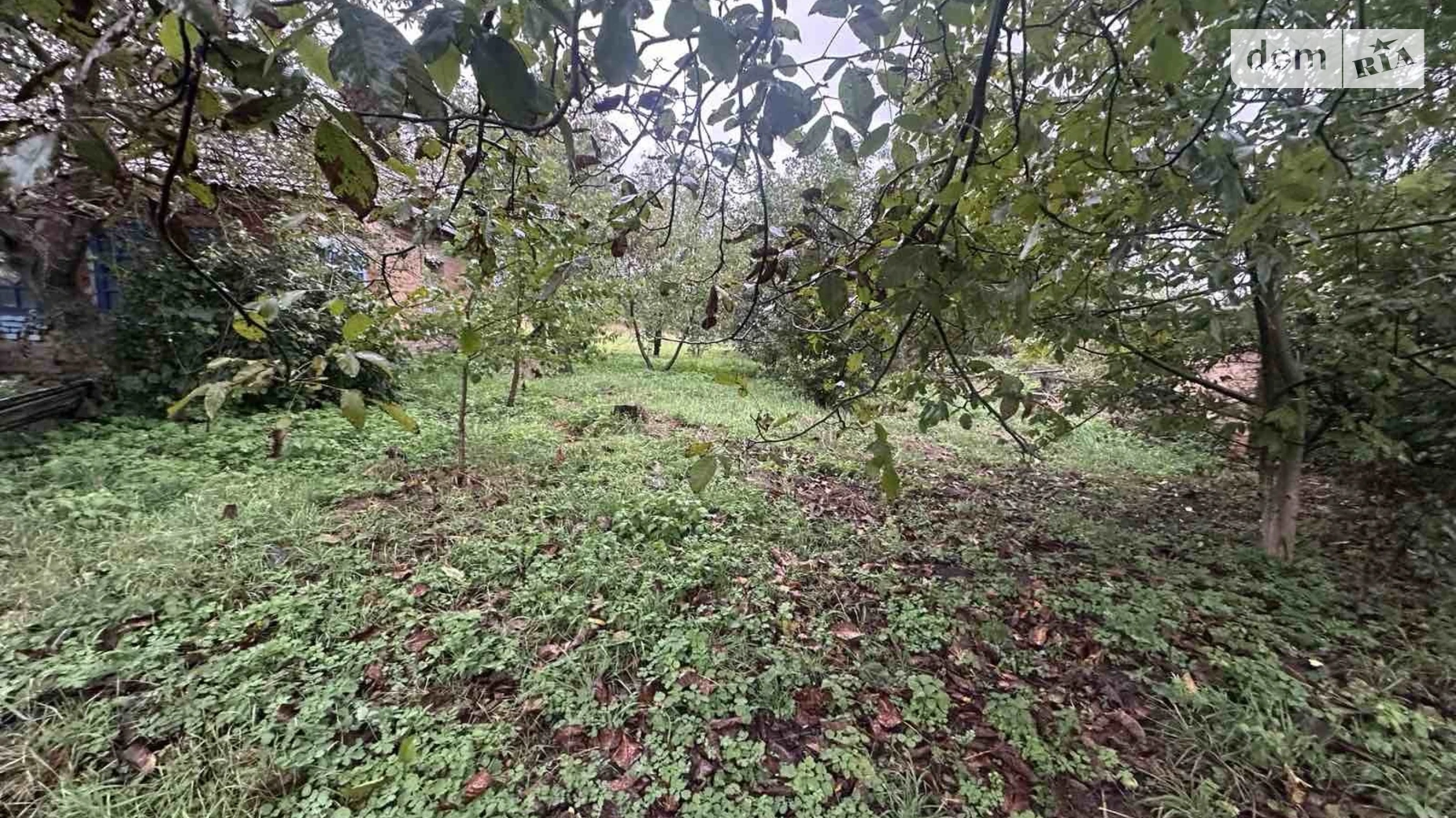 Продается земельный участок 33 соток в Винницкой области, цена: 18000 $ - фото 5