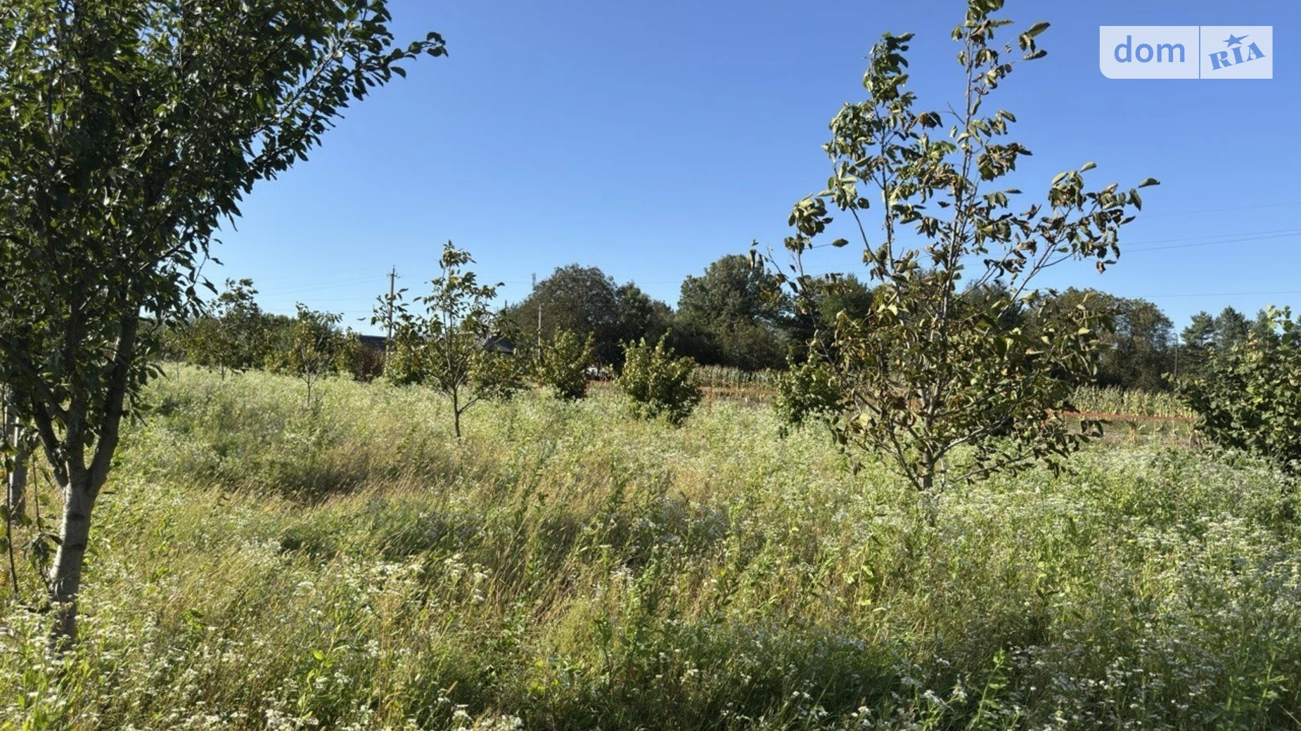 Продается земельный участок 25 соток в Хмельницкой области, цена: 15000 $ - фото 5