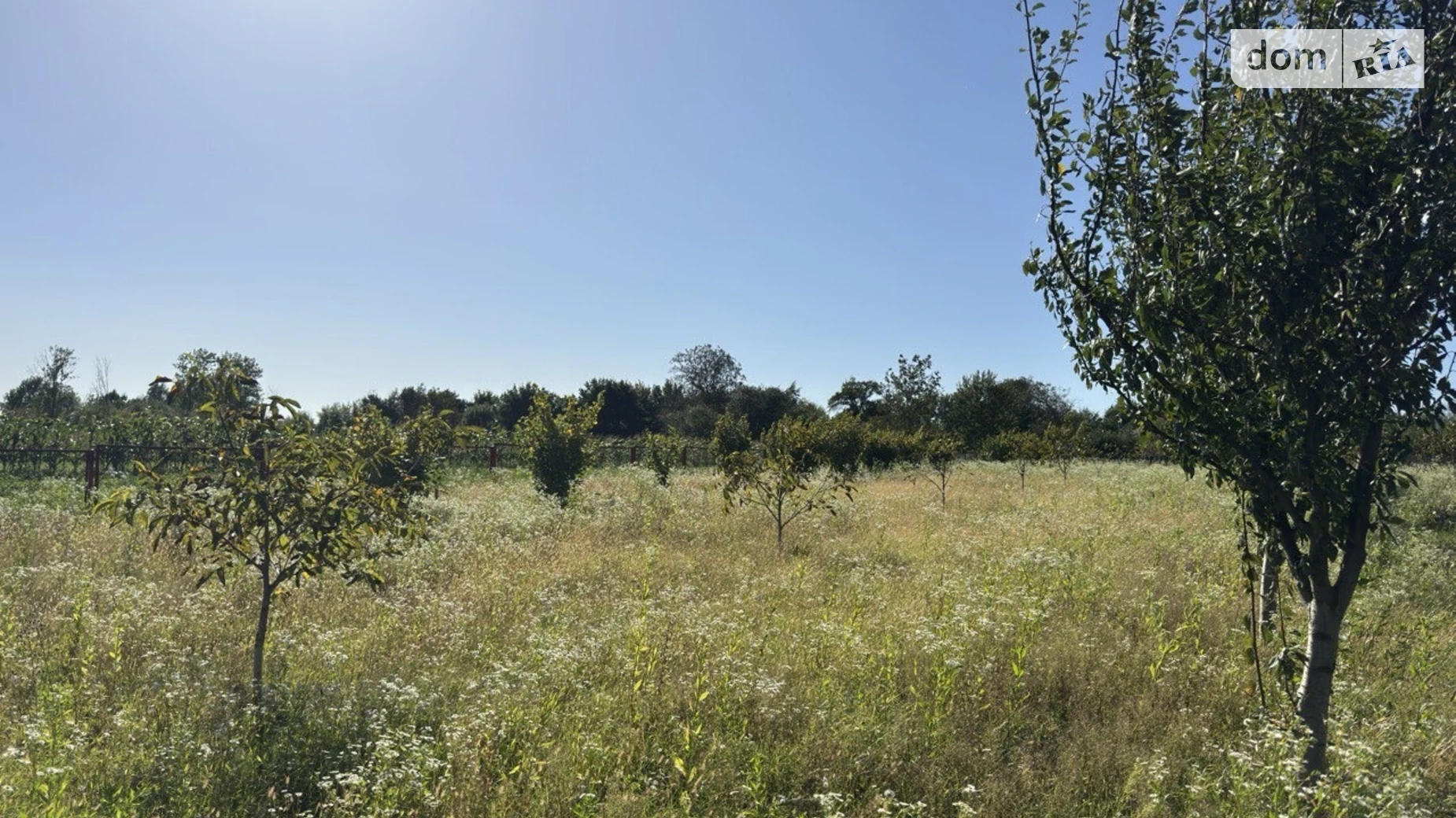 Продается земельный участок 25 соток в Хмельницкой области, цена: 15000 $ - фото 3