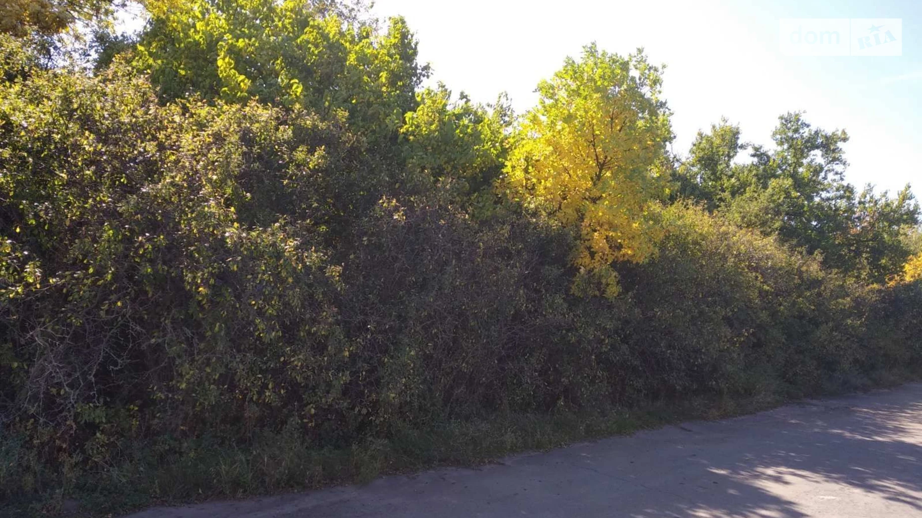 Здається в оренду земельна ділянка 9 соток у  області, цена: 21813 грн - фото 2