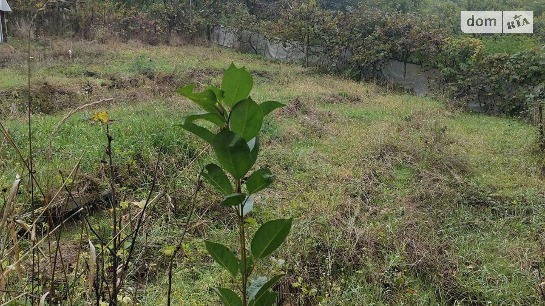 Продается одноэтажный дом 135.9 кв. м с садом, цена: 69000 $ - фото 4