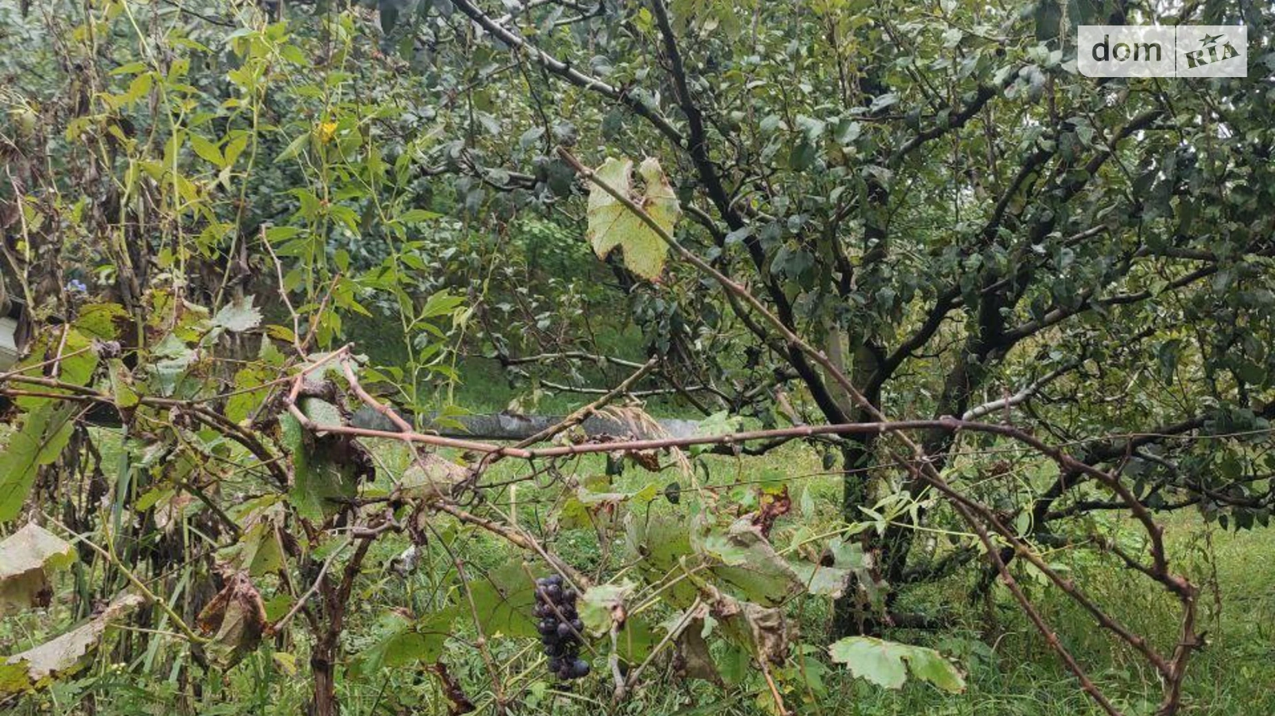 Продается одноэтажный дом 135.9 кв. м с садом, цена: 69000 $ - фото 5