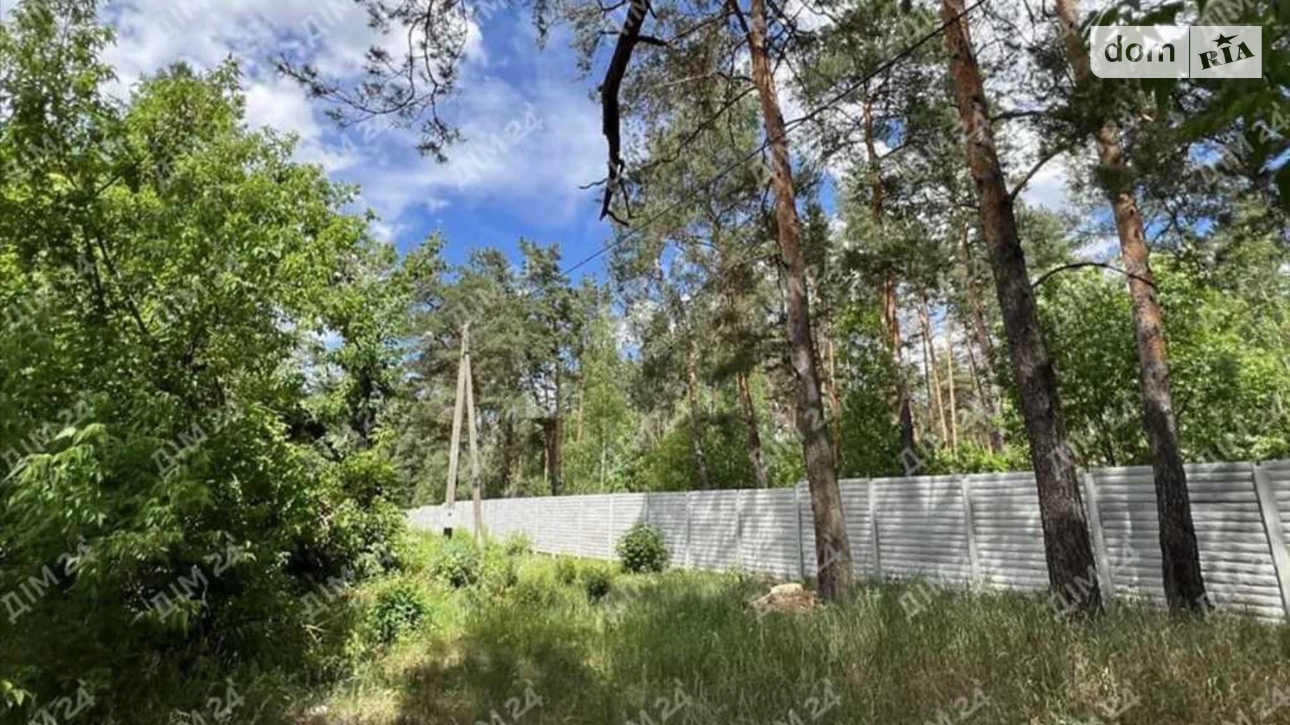 Продается земельный участок 25 соток в Полтавской области, цена: 40000 $ - фото 3