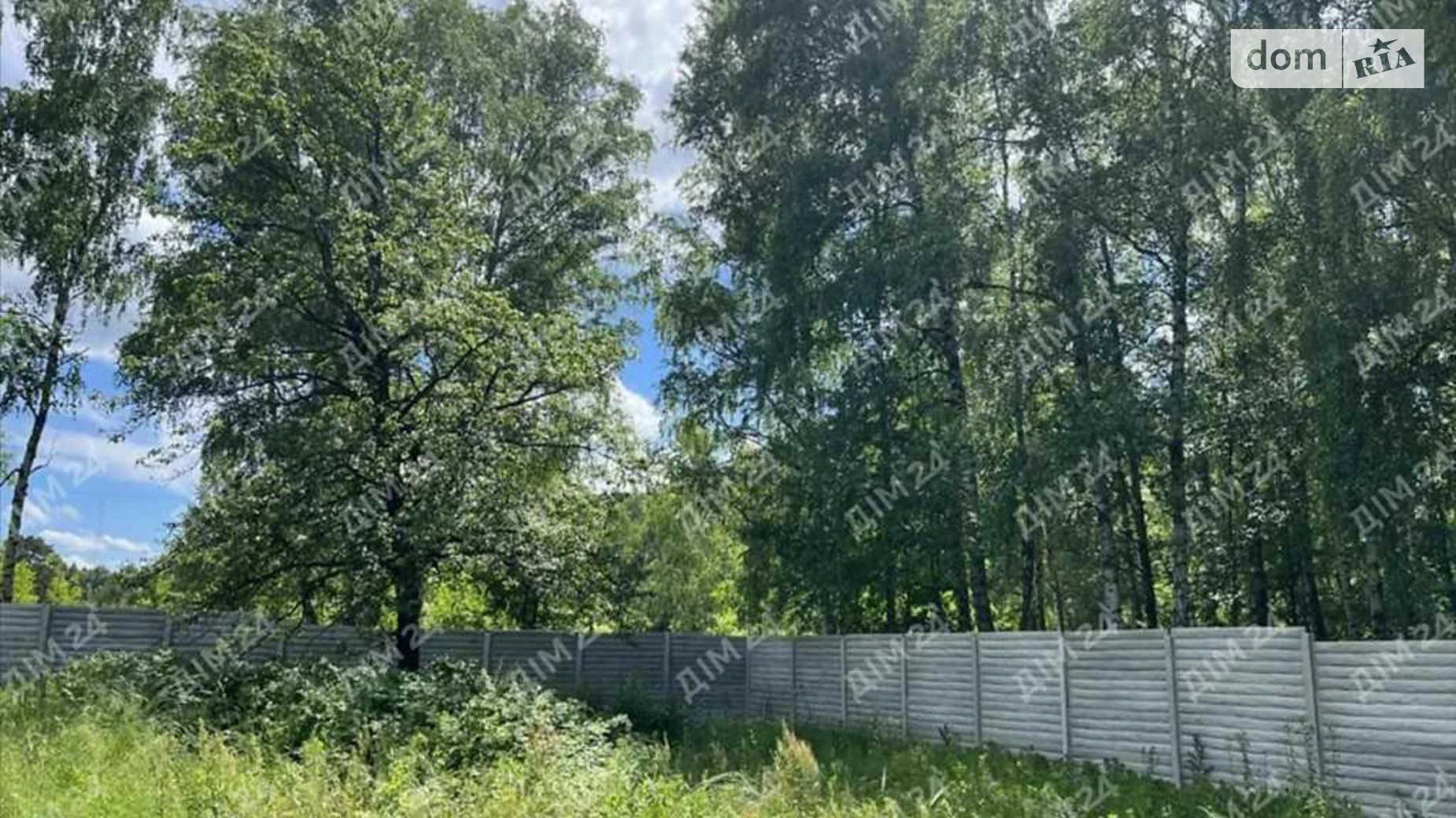 Продается земельный участок 25 соток в Полтавской области, цена: 40000 $ - фото 4