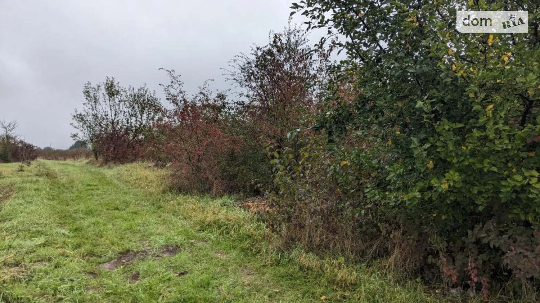 урочище Біля Мудрої Клузов, цена: 20000 $ - фото 5