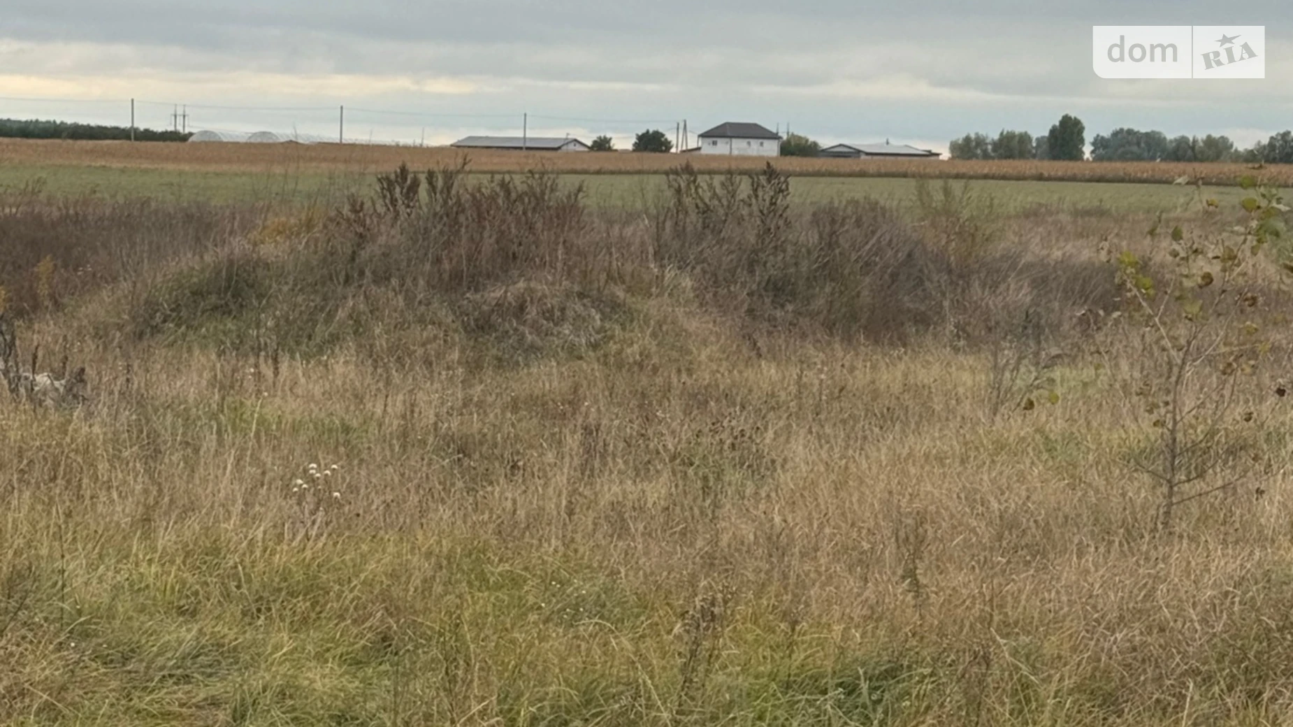 Продается земельный участок 50 соток в Киевской области, цена: 20000 $ - фото 2