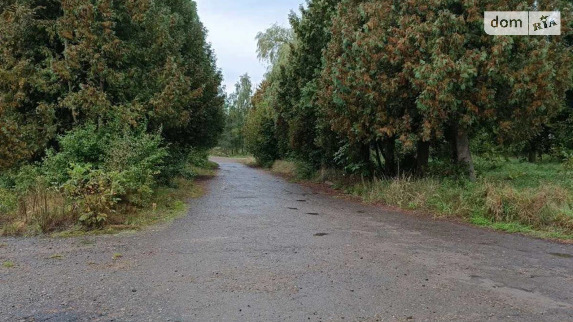 вул. Івана Франка Нові Стрілища, цена: 45000 $ - фото 5
