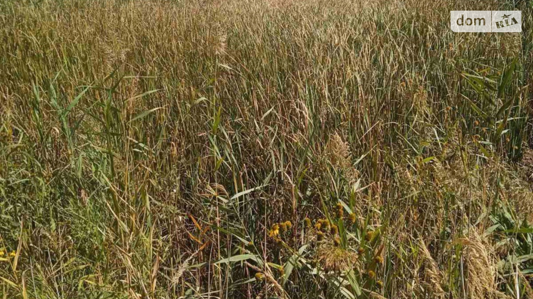 Рошнов, цена: 160000 $ - фото 2