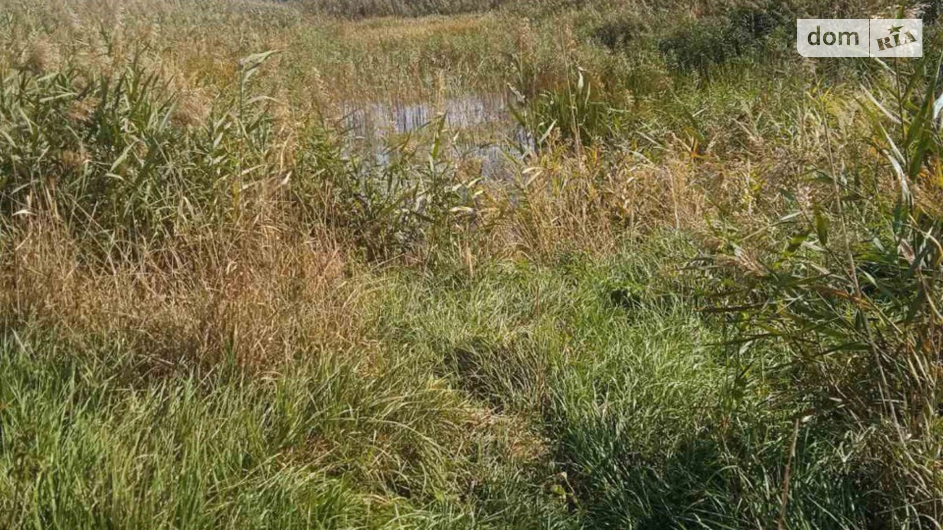 Рошнов, цена: 160000 $ - фото 3