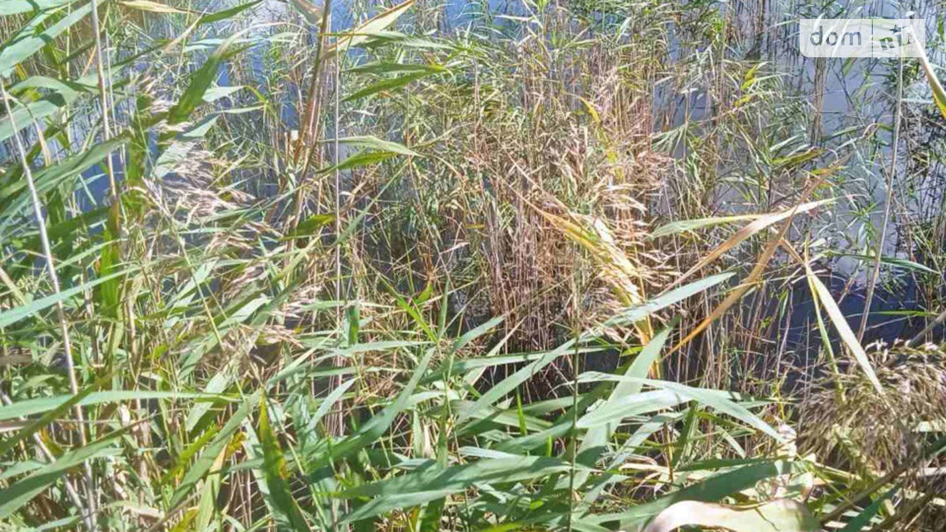 Рошнов, цена: 160000 $ - фото 4