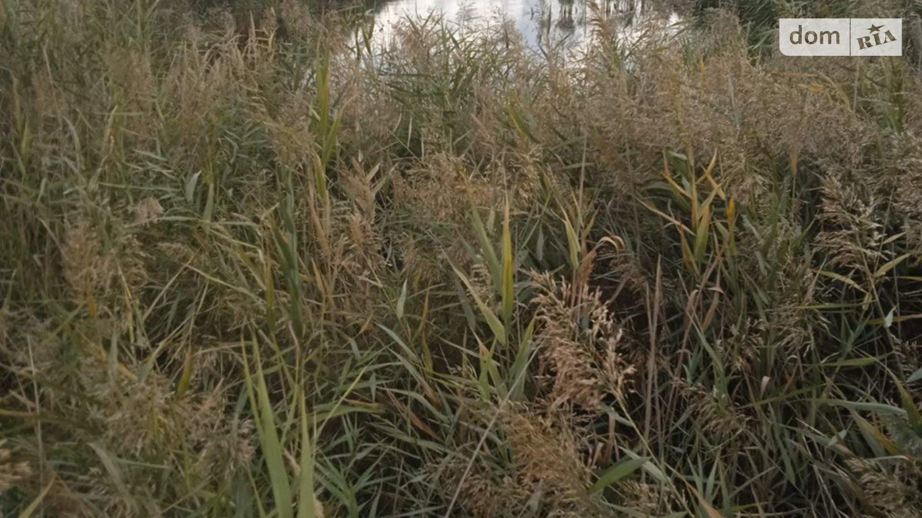 Рошнов, цена: 160000 $ - фото 5