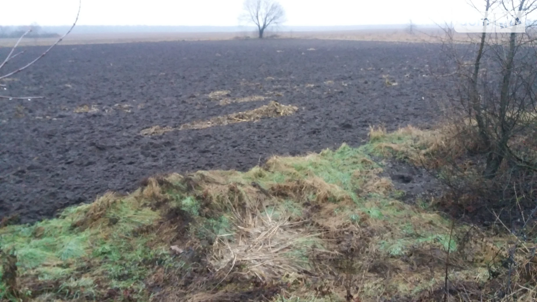 ул. Киевская Дорожное, цена: 56000 $ - фото 3