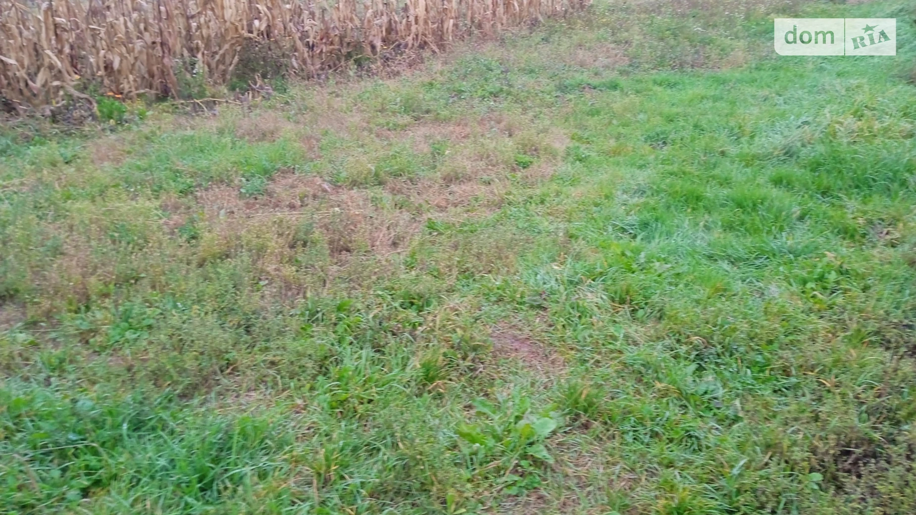 ул. Скорины Франциска Старогородский Винница, цена: 18000 $ - фото 3