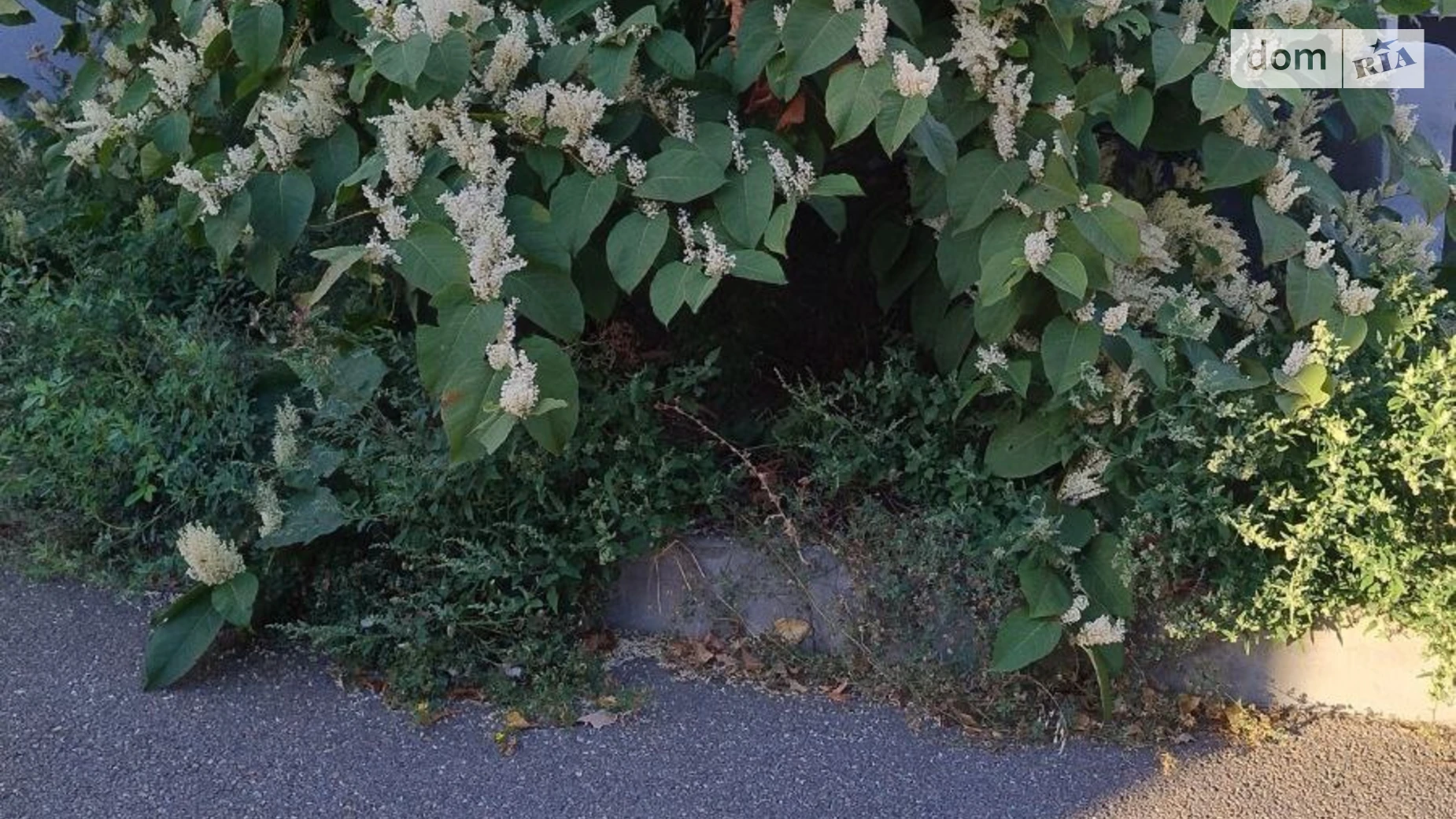 Продається 1-кімнатна квартира 43 кв. м у Харкові, пров. Пластичний, 10 - фото 5