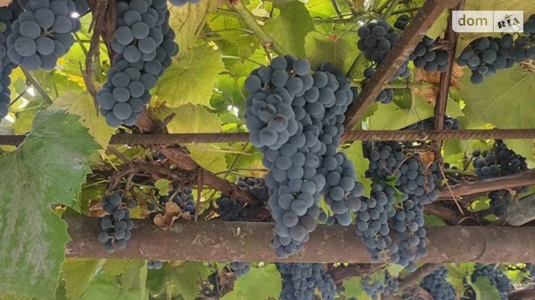 Продается одноэтажный дом 111.6 кв. м с участком, цена: 46800 $ - фото 3