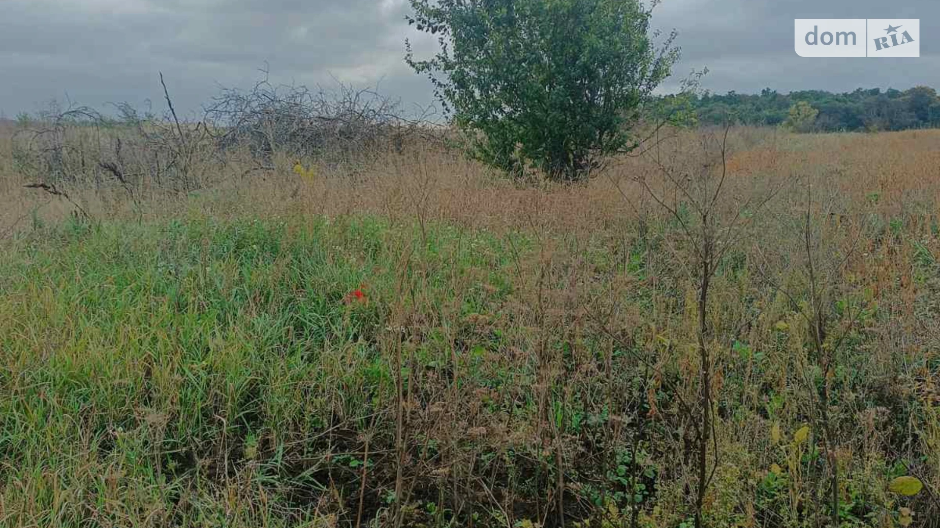 Байківці, цена: 17000 $ - фото 5