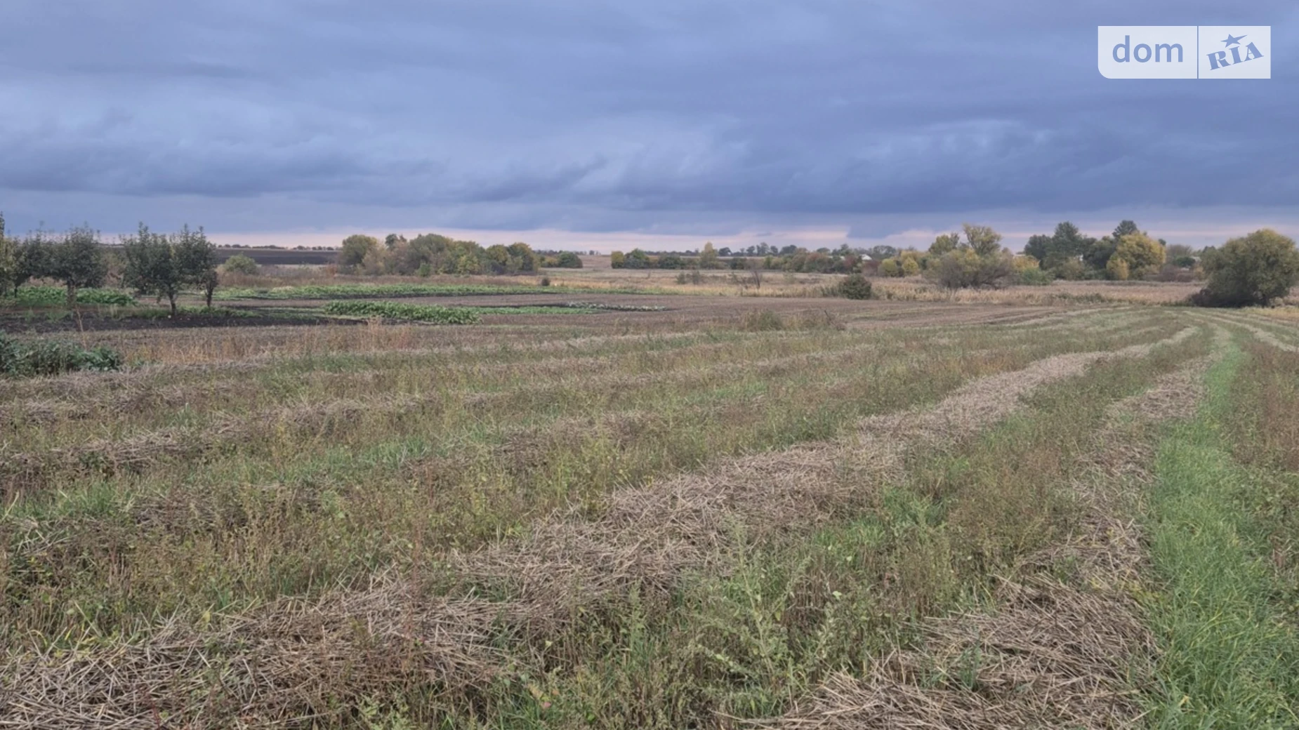 вулиця Жовтнева, 21А Острийки, цена: 7000 $ - фото 3