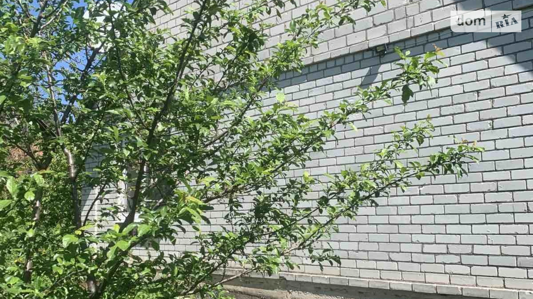 Продается одноэтажный дом 100 кв. м с балконом, цена: 21000 $ - фото 5