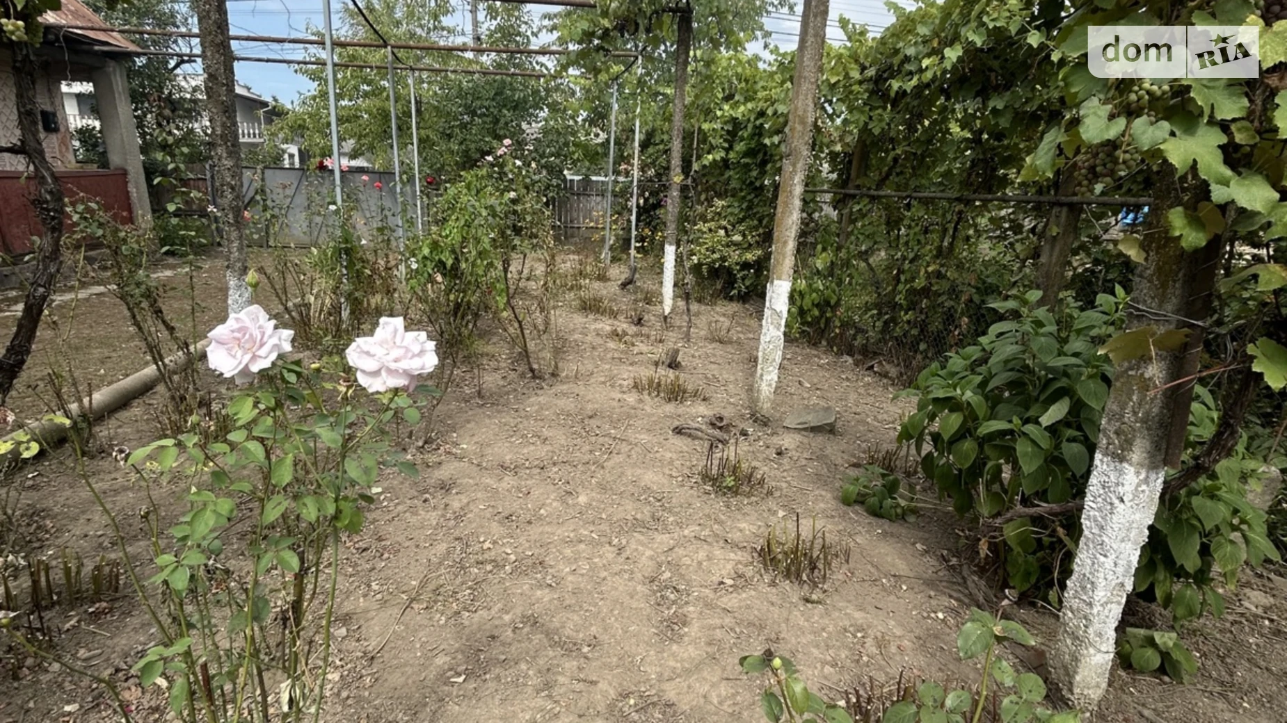 Продается одноэтажный дом 50 кв. м с верандой, цена: 25000 $ - фото 5