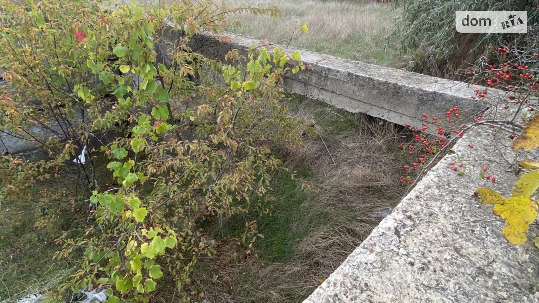 Вишнева Южное, цена: 15000 $ - фото 5