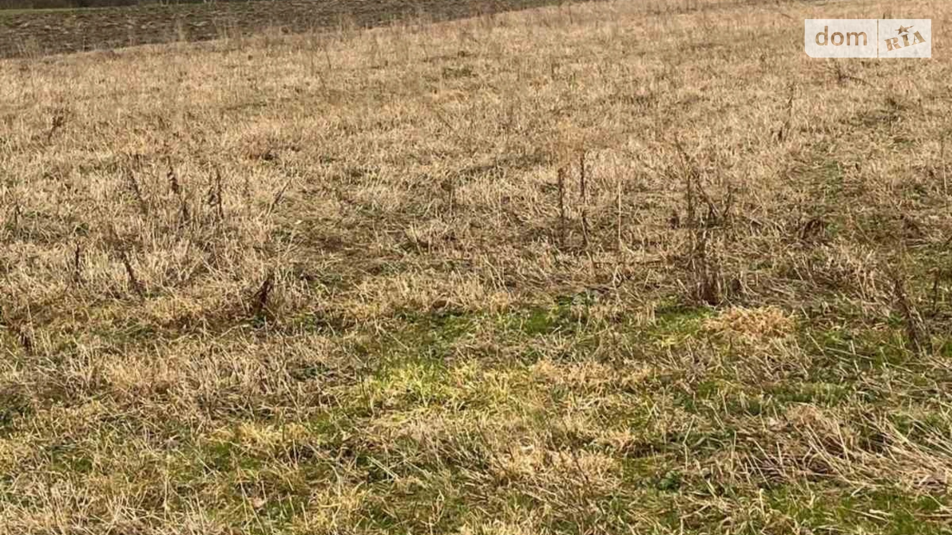 Продается земельный участок 24 соток в Львовской области, цена: 9000 $ - фото 3