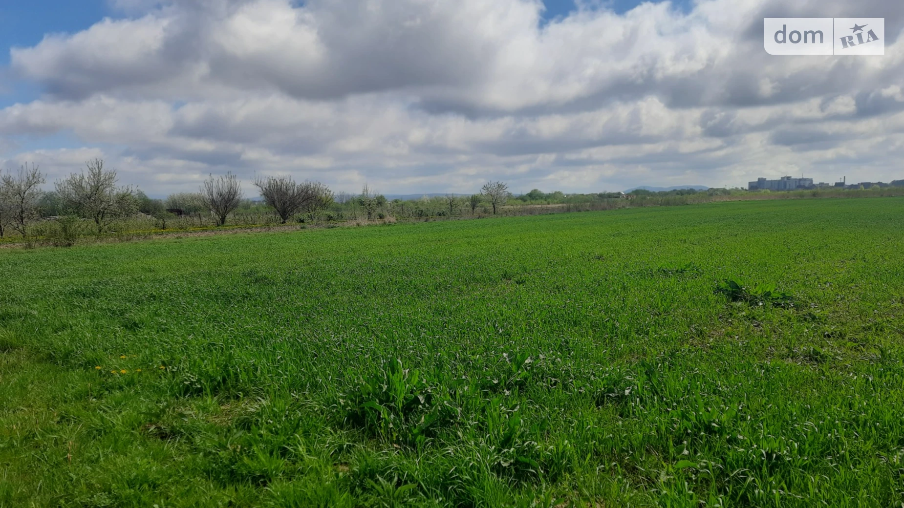 Продається земельна ділянка 10 соток у Закарпатській області, цена: 27000 $ - фото 2