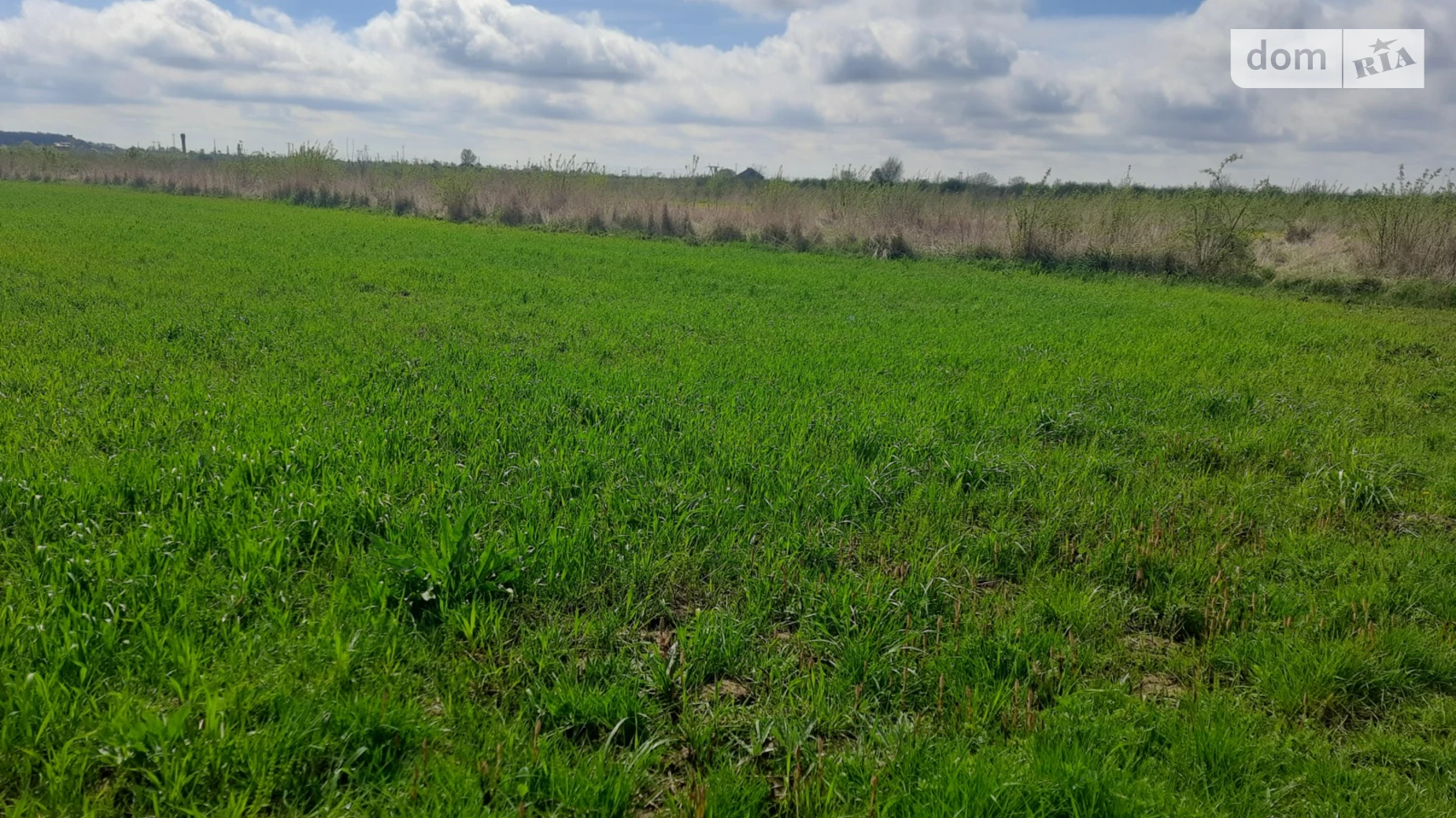 Продається земельна ділянка 10 соток у Закарпатській області, цена: 27000 $ - фото 3