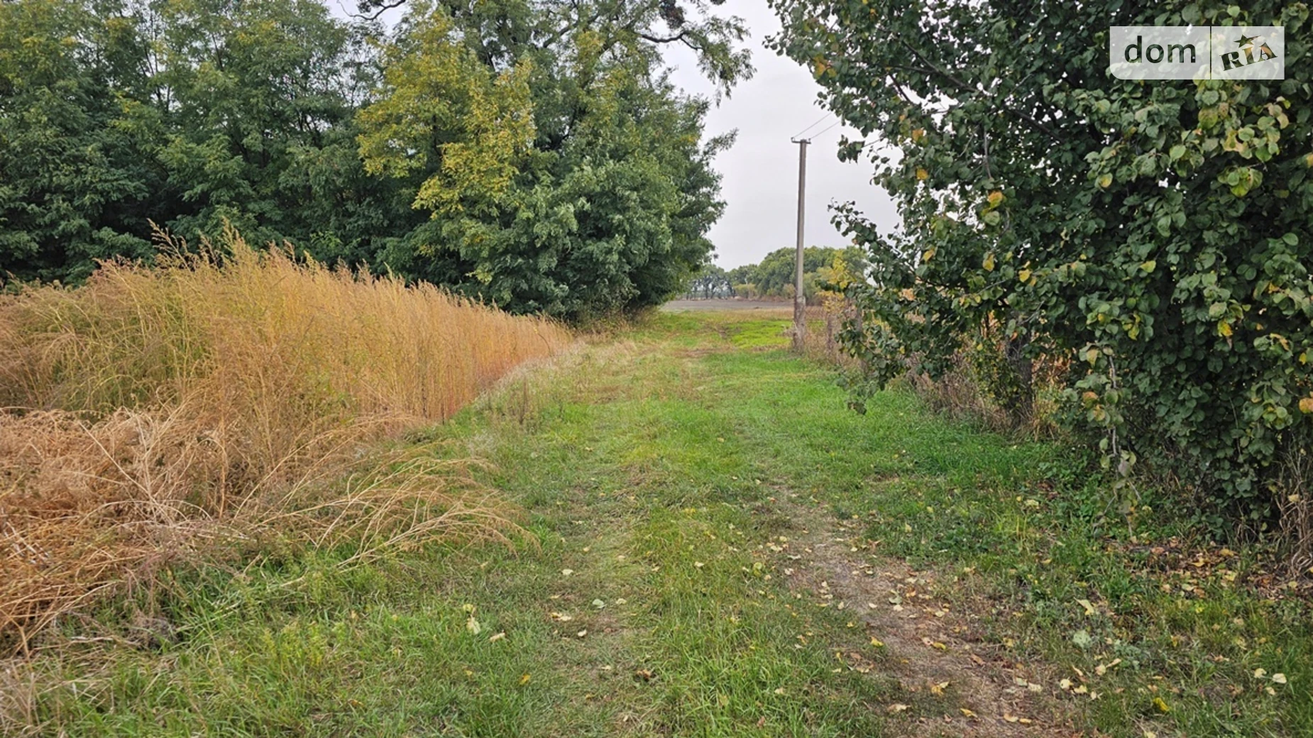 Продается земельный участок 20 соток в Киевской области, цена: 4500 $ - фото 3