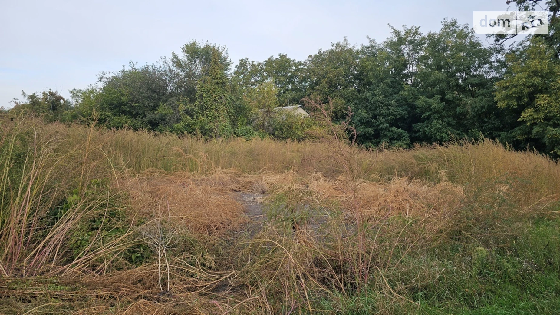 Продается земельный участок 20 соток в Киевской области, цена: 4500 $ - фото 2