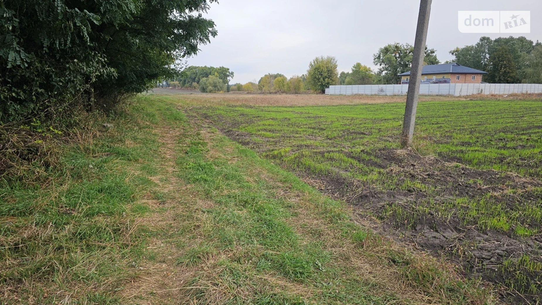 Продается земельный участок 20 соток в Киевской области, цена: 4500 $ - фото 4