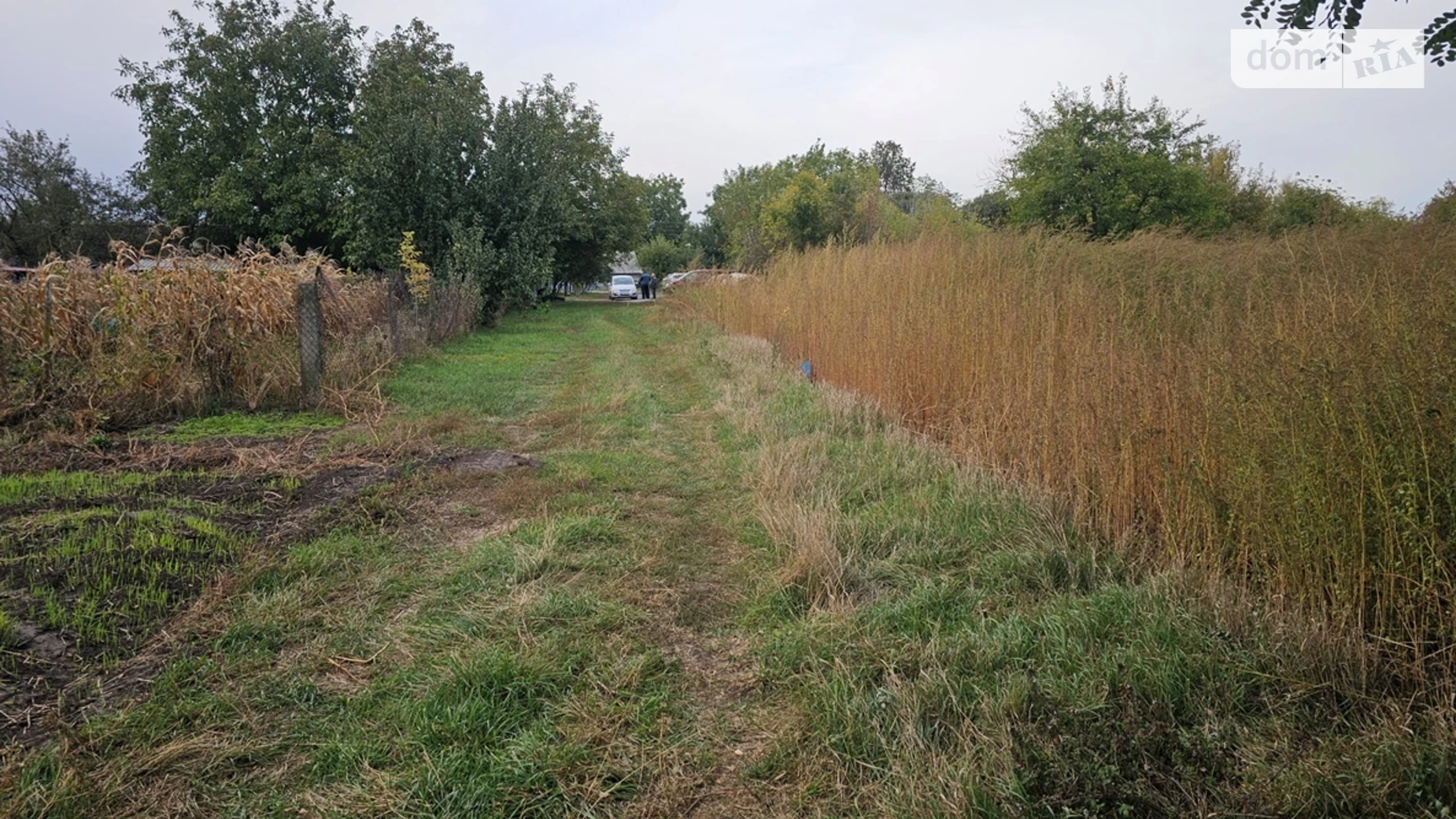 Продается земельный участок 20 соток в Киевской области, цена: 4500 $ - фото 5