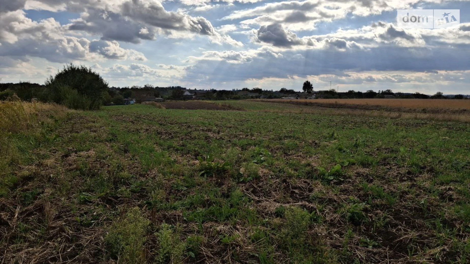 Продається земельна ділянка 43.68 соток у Житомирській області, цена: 9000 $ - фото 4