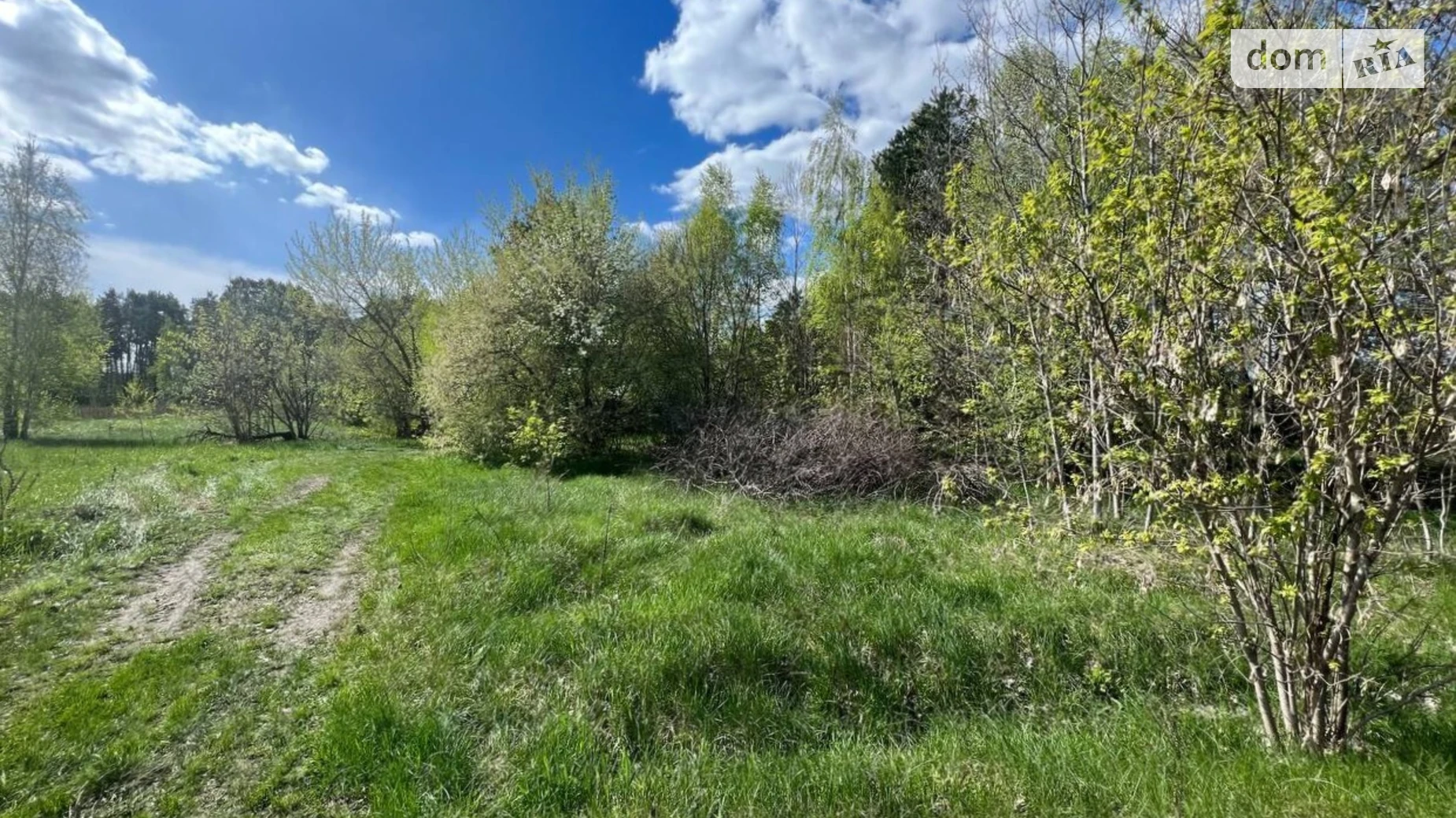 Продається земельна ділянка 25 соток у Київській області, цена: 12500 $ - фото 3