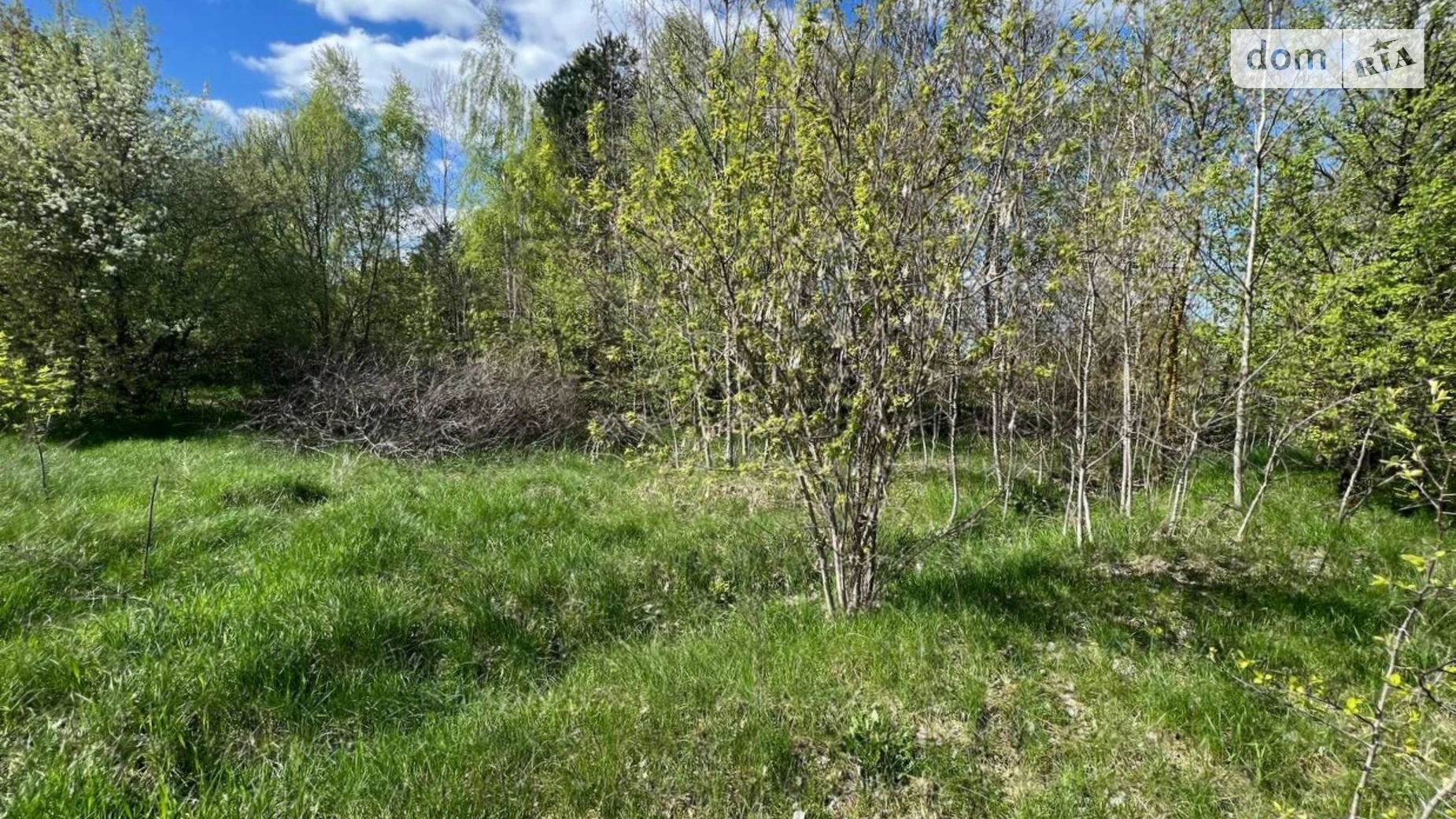 Продається земельна ділянка 25 соток у Київській області, цена: 12500 $ - фото 4