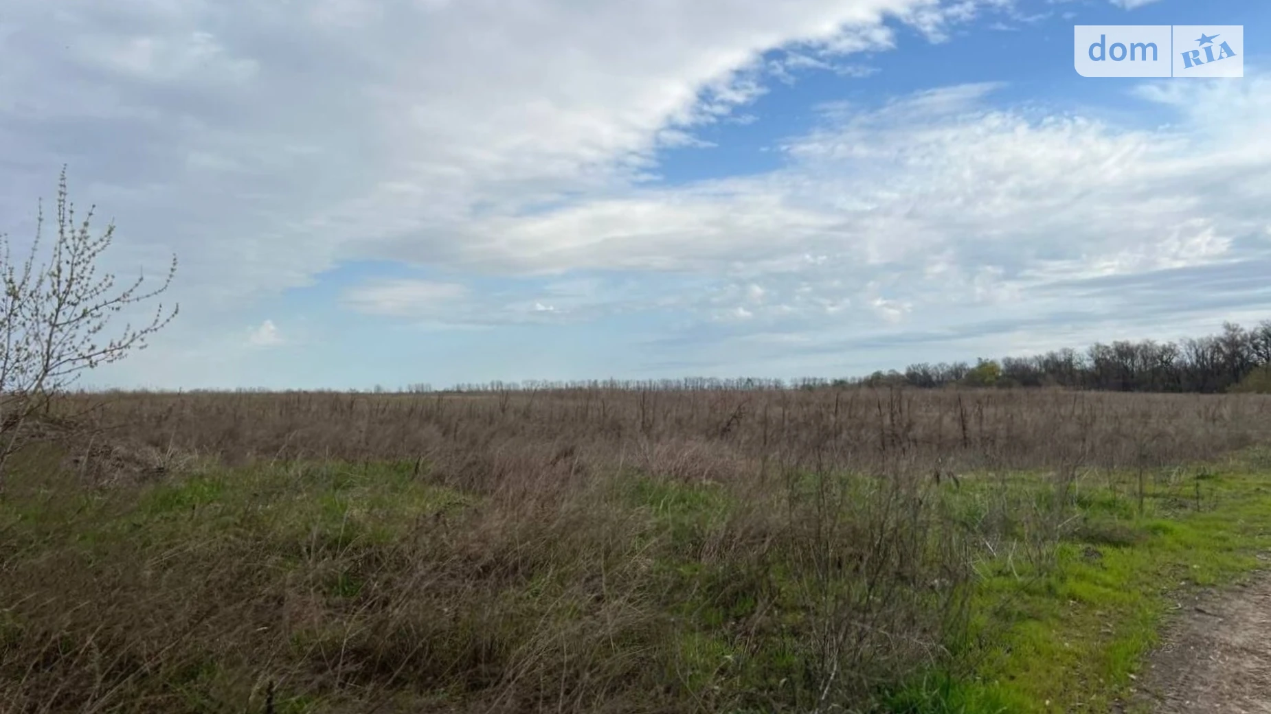 Продається земельна ділянка 71.16 соток у Київській області, цена: 15000 $ - фото 3
