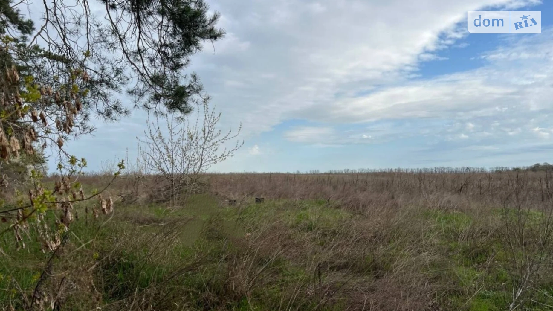 Продається земельна ділянка 71.16 соток у Київській області, цена: 15000 $ - фото 2