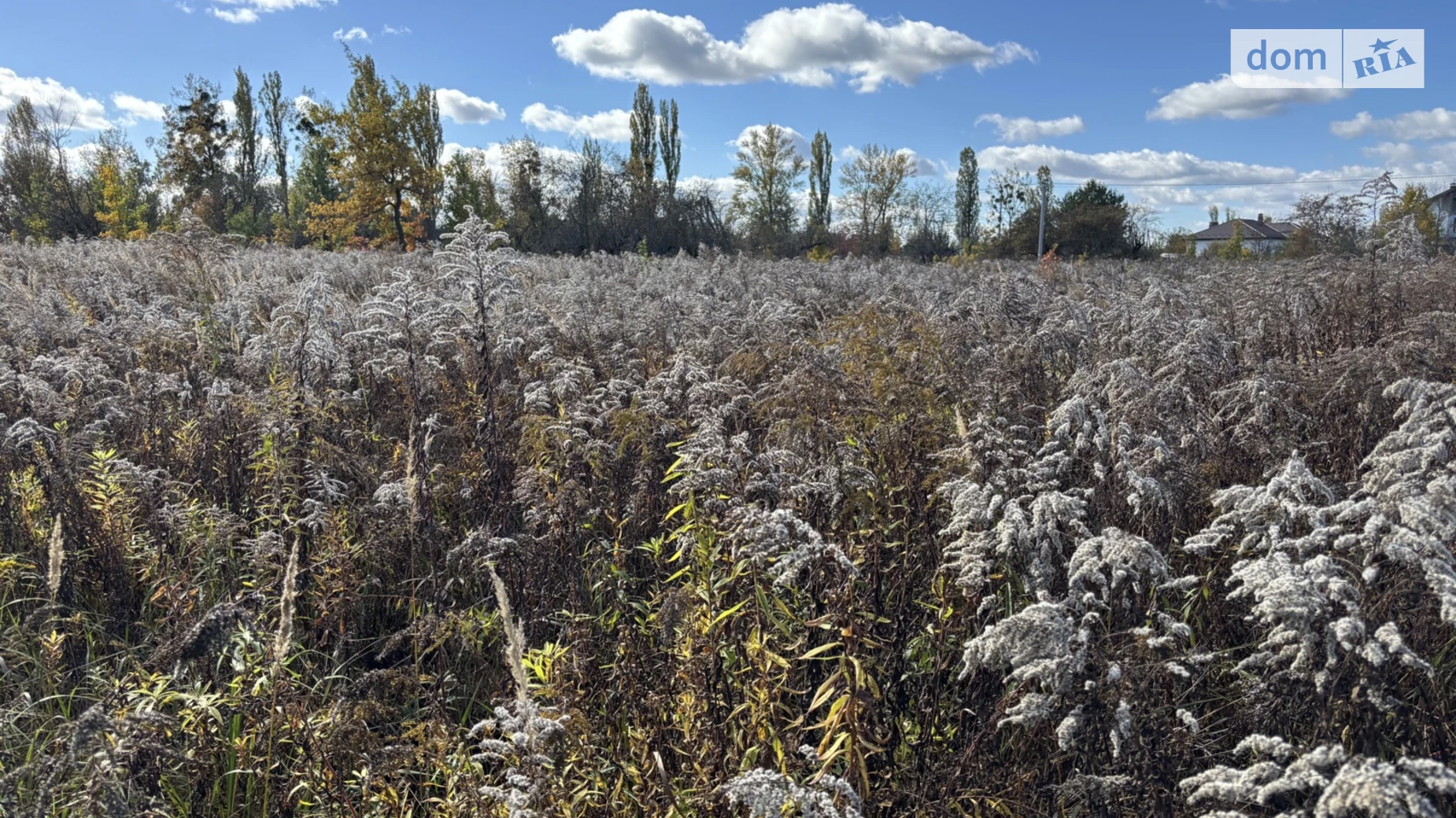 Продается земельный участок 18.98 соток в Киевской области, цена: 50000 $ - фото 2