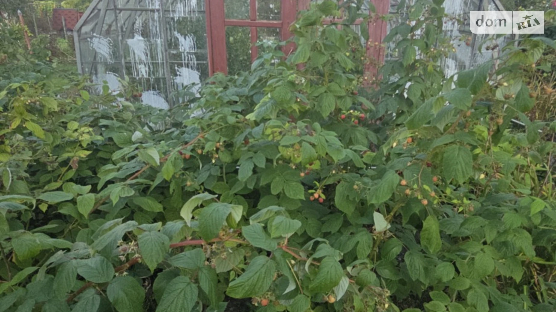 Продается дом на 2 этажа 52 кв. м с подвалом, цена: 34000 $ - фото 5