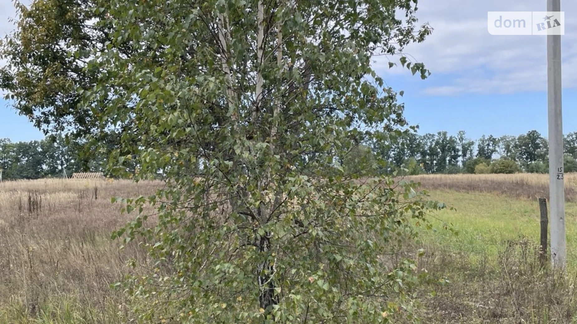 Продается земельный участок 15 соток в Киевской области, цена: 15000 $ - фото 5