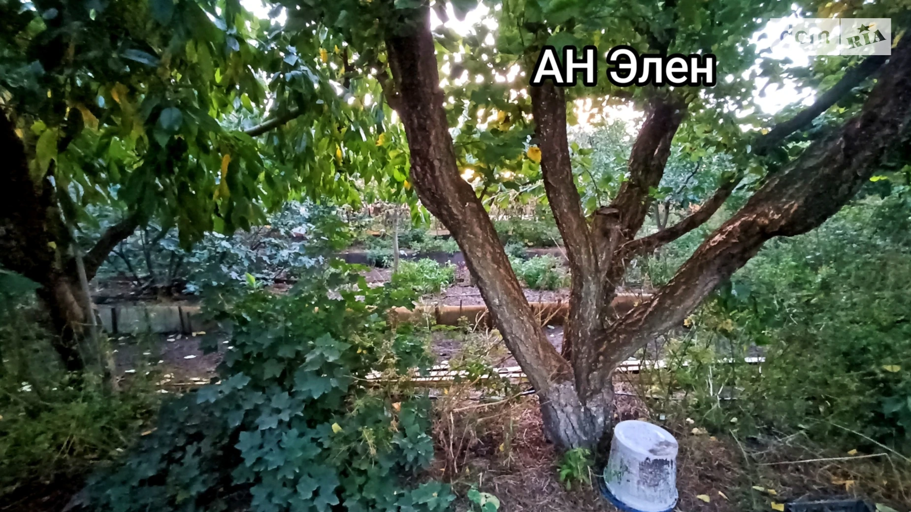 Продается одноэтажный дом 119 кв. м с мансардой, цена: 46900 $ - фото 2