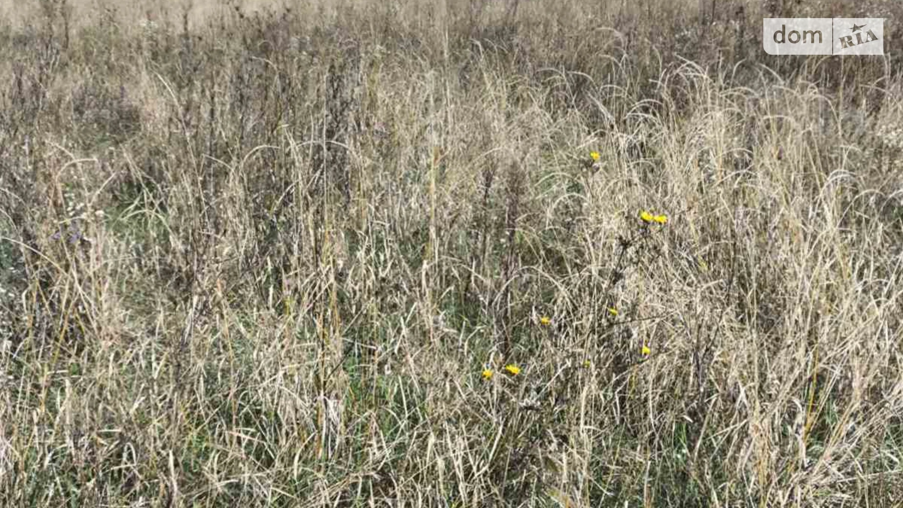 Продается земельный участок 45 соток в Закарпатской области, цена: 115000 $ - фото 2