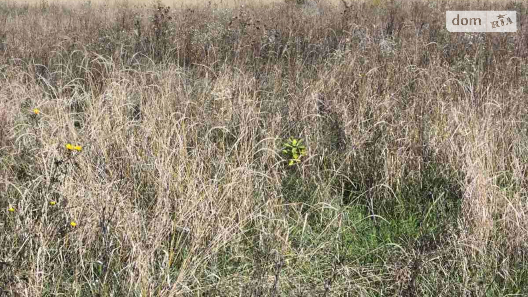 Продается земельный участок 45 соток в Закарпатской области, цена: 115000 $ - фото 3